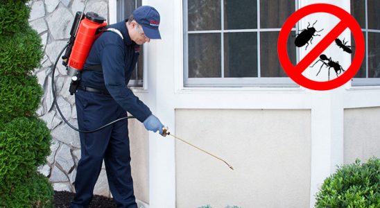 Seydiler Bit İlaçlama böcek ilaçlama ve haşere kontrolü — ilaclama-tr.com